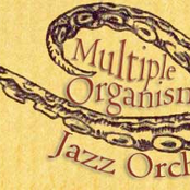 multiple organism jazz orchestra