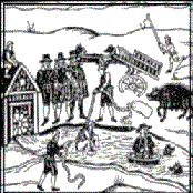 Live at Colchester Arts Centre