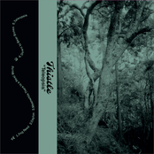 thistle. – Teleopsia