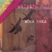 Transform into Beasts