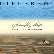 The Sounds Of Silence, Part 1 - The Counterparts