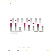 Until the End of the World