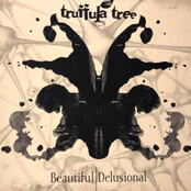 Beautiful Delusional