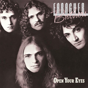 The Faragher Brothers: Open Your Eyes