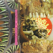 Thoughts On Air / Xiphiidae Split C20