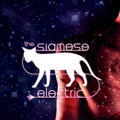The Siamese Electric