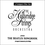I Want To Hold Your Hand by The Hollyridge Strings