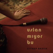 Zeynep Bastik: Uslanmıyor Bu