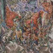 Vision from the Mistland