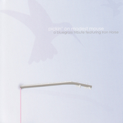 Pickin' On Modest Mouse