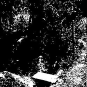 Silence (The Equilibrium)