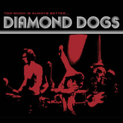 Every Little Crack by Diamond Dogs