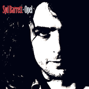 Wouldn't You Miss Me (dark Globe) by Syd Barrett