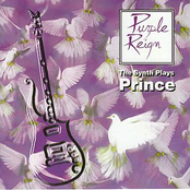 Purple Reign: The Synth Plays Prince