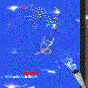 VA - Fusion Compilation 6'Xtreme