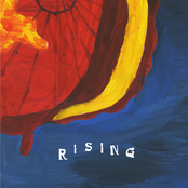 Rising by Hamilton Yarns