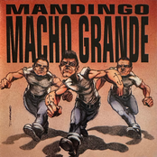 MACHOGRANDE