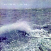 Little Gold/Ancient Sky split 7"