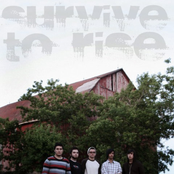 survive to rise