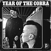 Year Of The Cobra: Year Of The Cobra