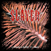 A Tribute To SLAYER 25 Years