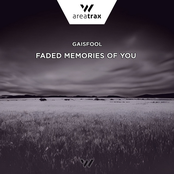 Faded memories of you