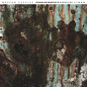 Moscow Puzzles: Cicadas Are Sensitive to Parallel Lines