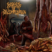 piles of rotting flesh