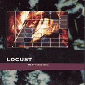 Lust by Locust