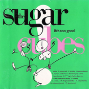 Cowboy by The Sugarcubes