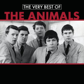 Paint It Black by The Animals