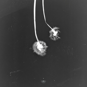 Put You Back Together - Single
