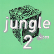 Jungle Vibes 2