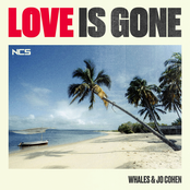 Whales: Love Is Gone