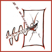 Slice Through Or​/​In Glassmetal
