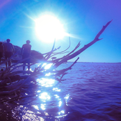 Los Libros de la Buena Memoria y Taiga