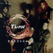 ケルトファイル