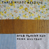 wild flower way/echo holiday