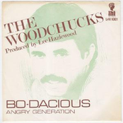 the woodchucks