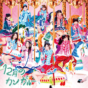 12月のカンガルー