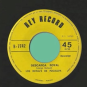 Doña Muti / Descarga Royal
