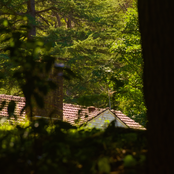 Face-to-Face, Back-to-Back