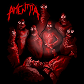 Amenttia