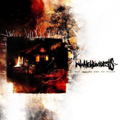 LIH005: These Skylights Mimic Our Freedom