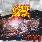 Distorted Face By Pestilent Worms by Oxidised Razor