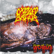 Extreme Worm Deformities by Oxidised Razor