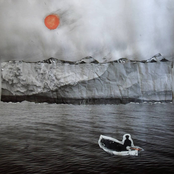 Where Blew a Flower, May a Flower No More