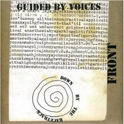 Amanda Gray by Guided By Voices