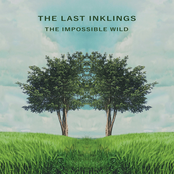 The Impossible Wild