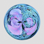 Cocoon (Maya Jane Coles Remix)